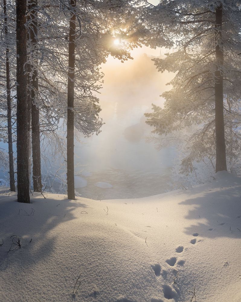 Затуманило