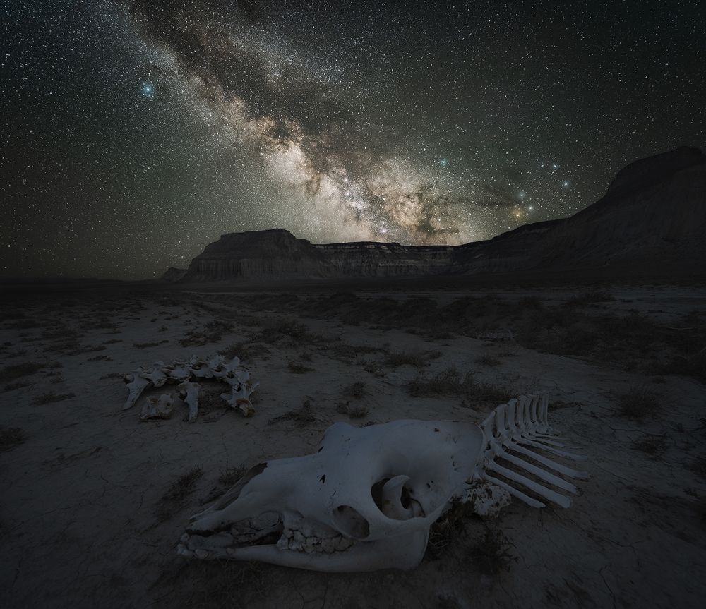 Photograph by Василий Яковлев