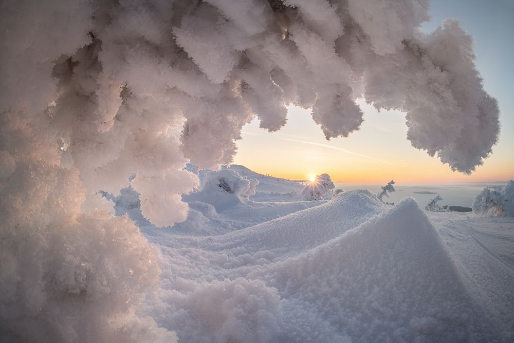 Photograph by Василий Яковлев