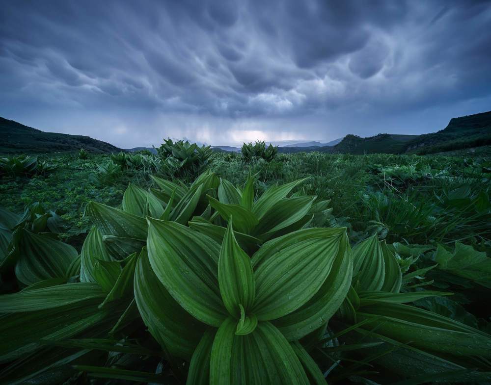 Photograph by Василий Яковлев