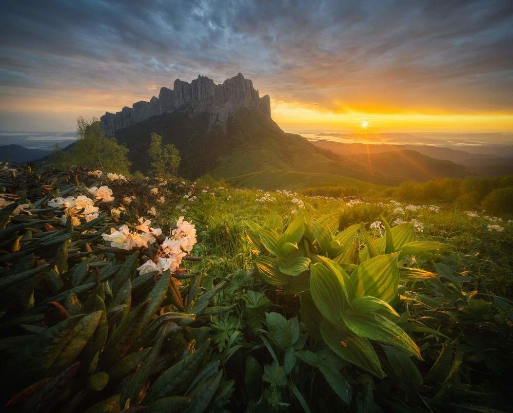 Photograph by Василий Яковлев