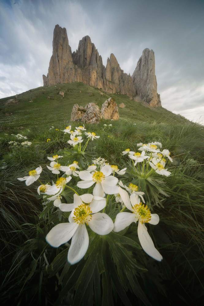 Photograph by Василий Яковлев