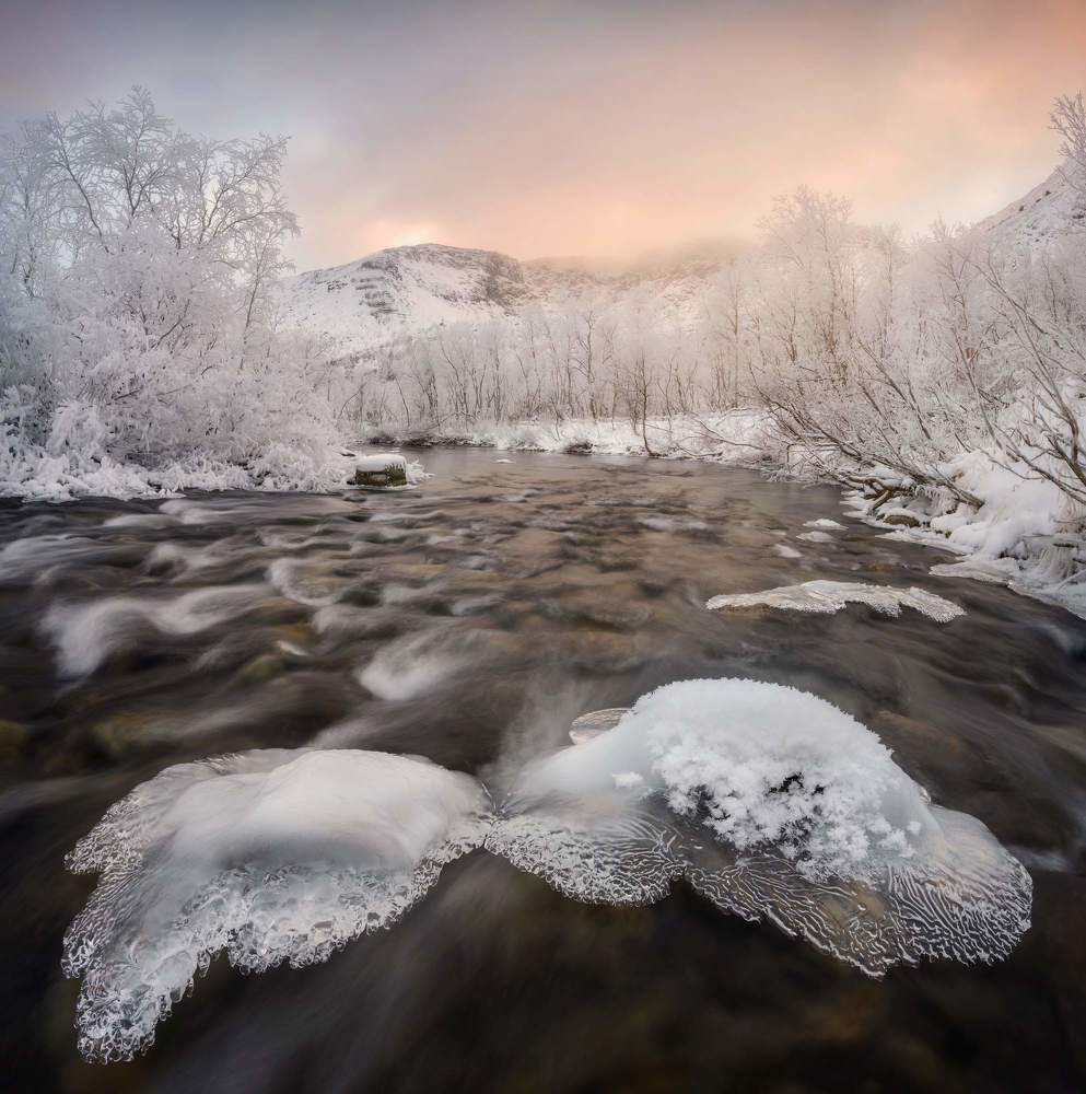 Photograph by Василий Яковлев