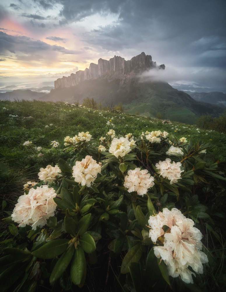 Photograph by Василий Яковлев