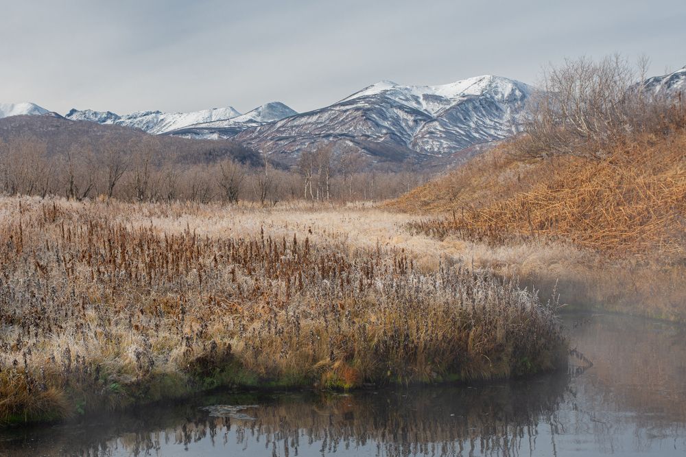 Photograph by Александра Марчак