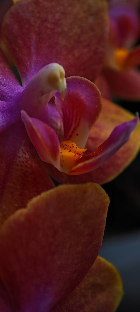 Photograph by Анна Курлова