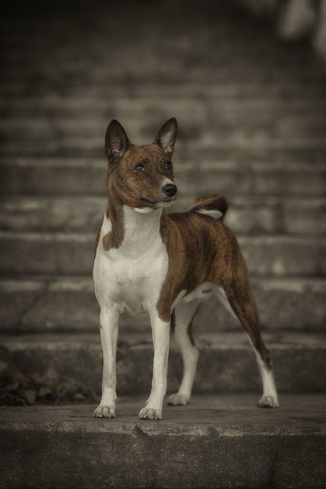 Фотография автора Iurii Butakov