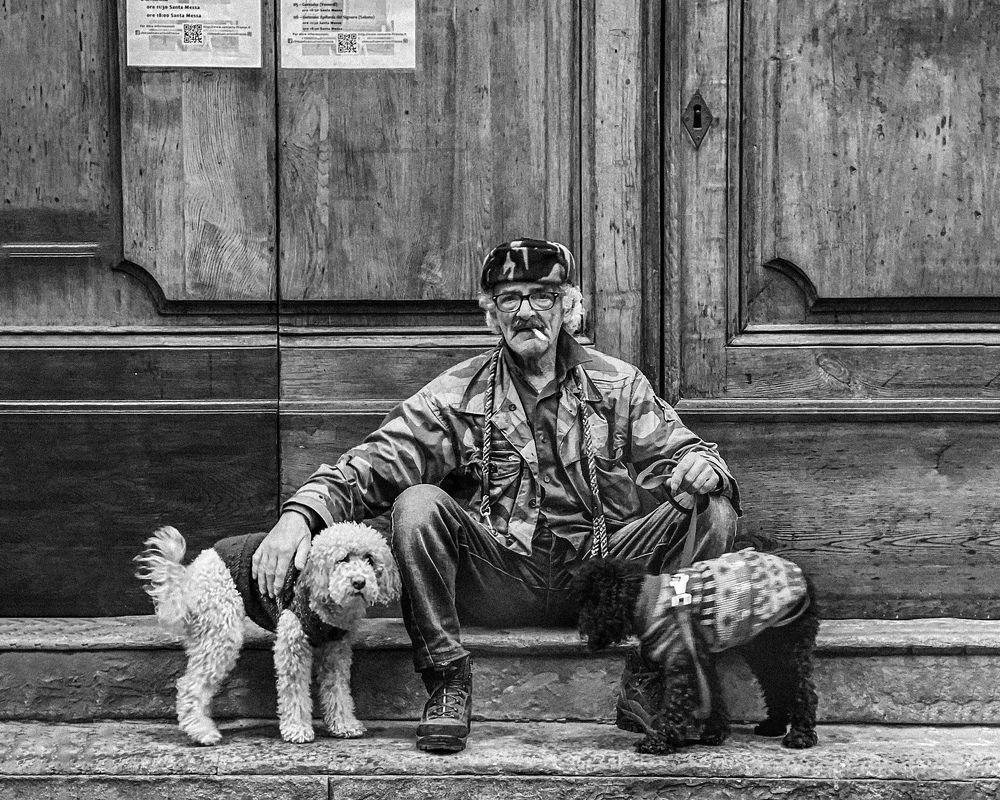 Фотография автора Olga Alekseeva