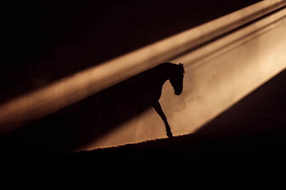 Photograph by Anna Archinger