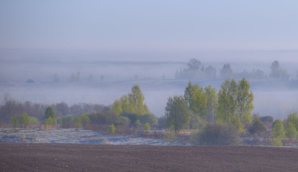 Photograph by Елена Рубинская
