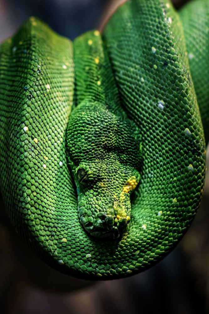 Photograph by Алексей Еремеев