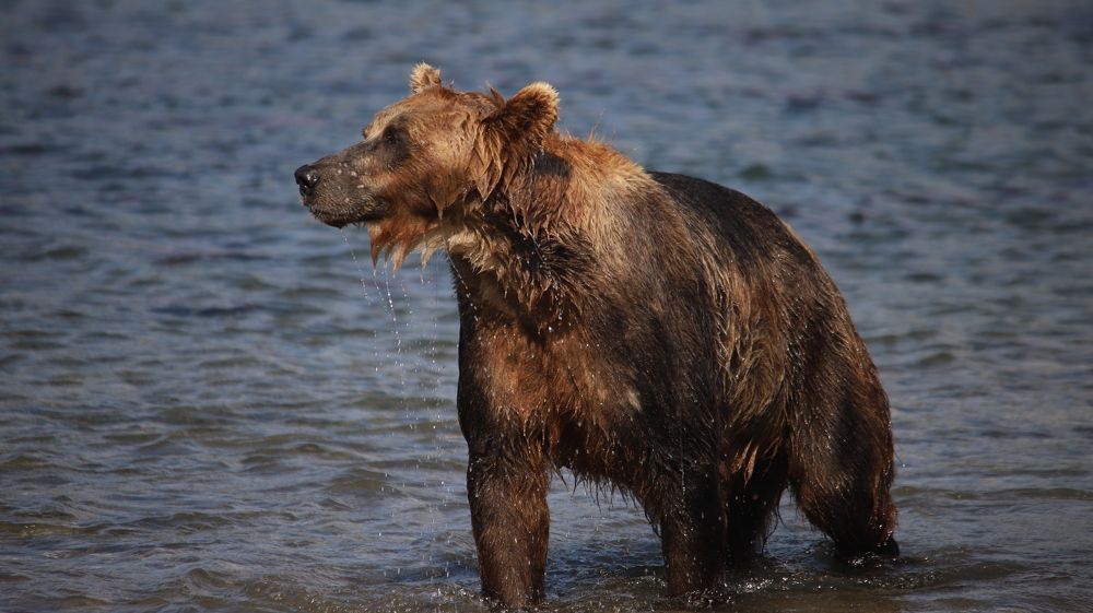 Photograph by Соколова Елена