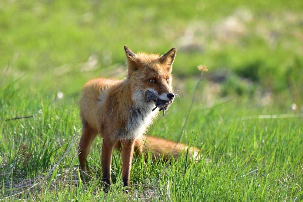 Photograph by Соколова Елена