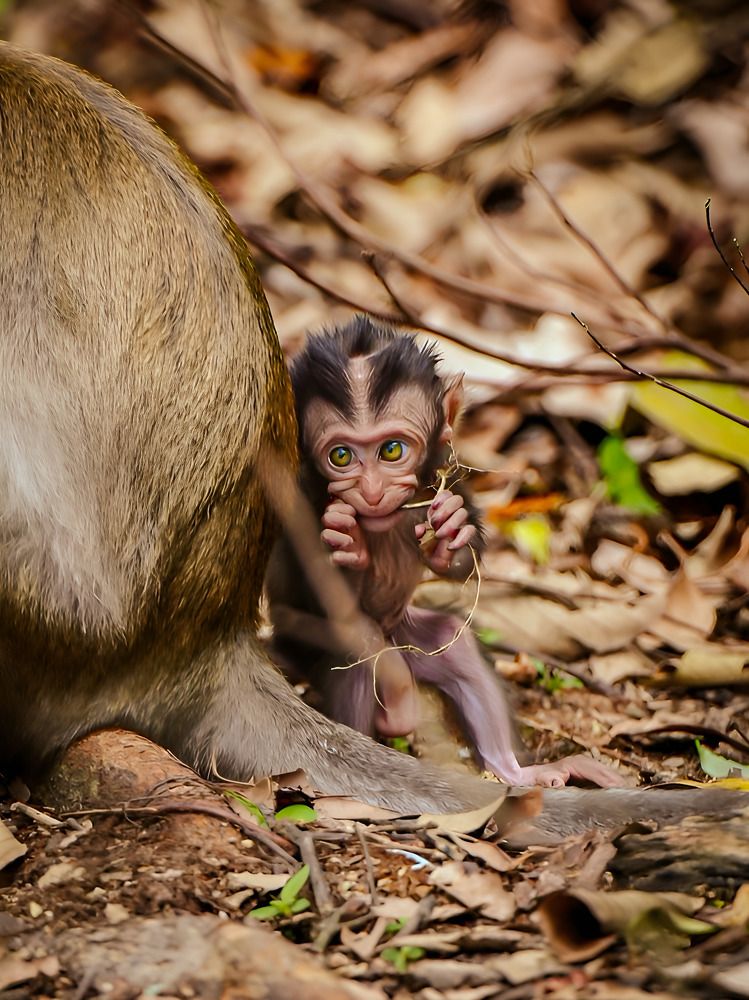 Photograph by Lee Yao Fui