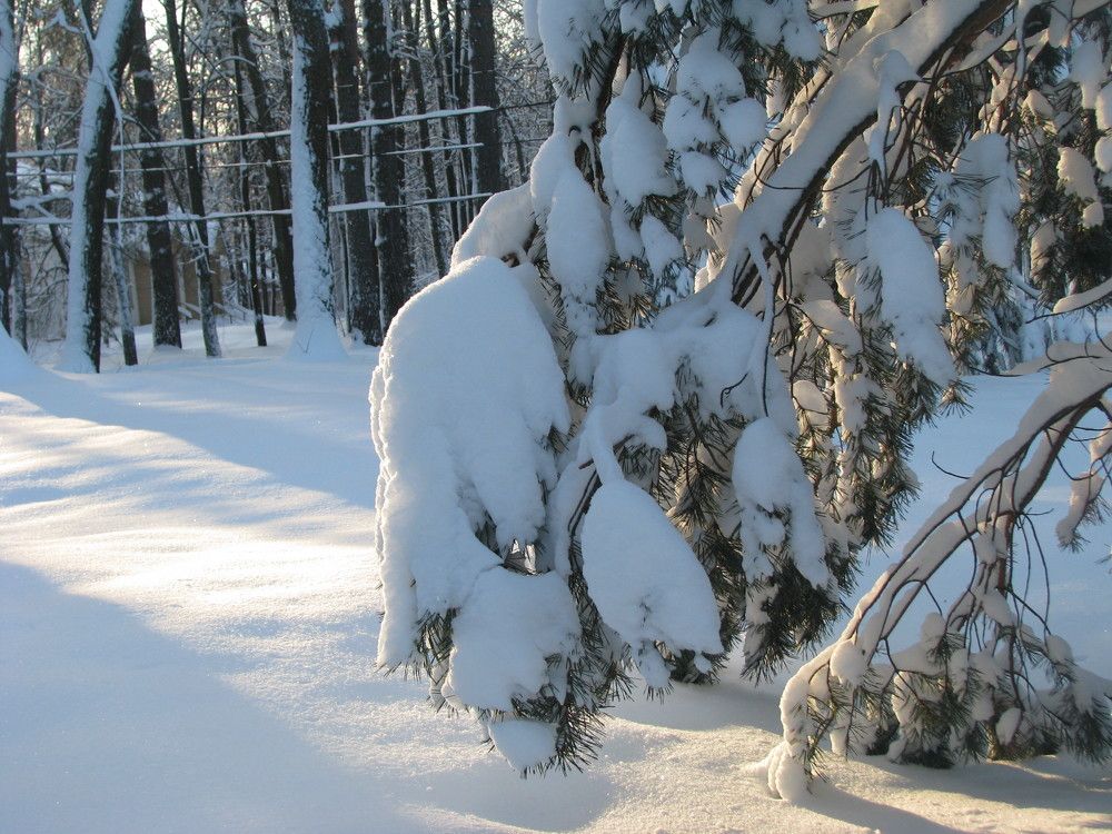 Photograph by Лада Кляузина