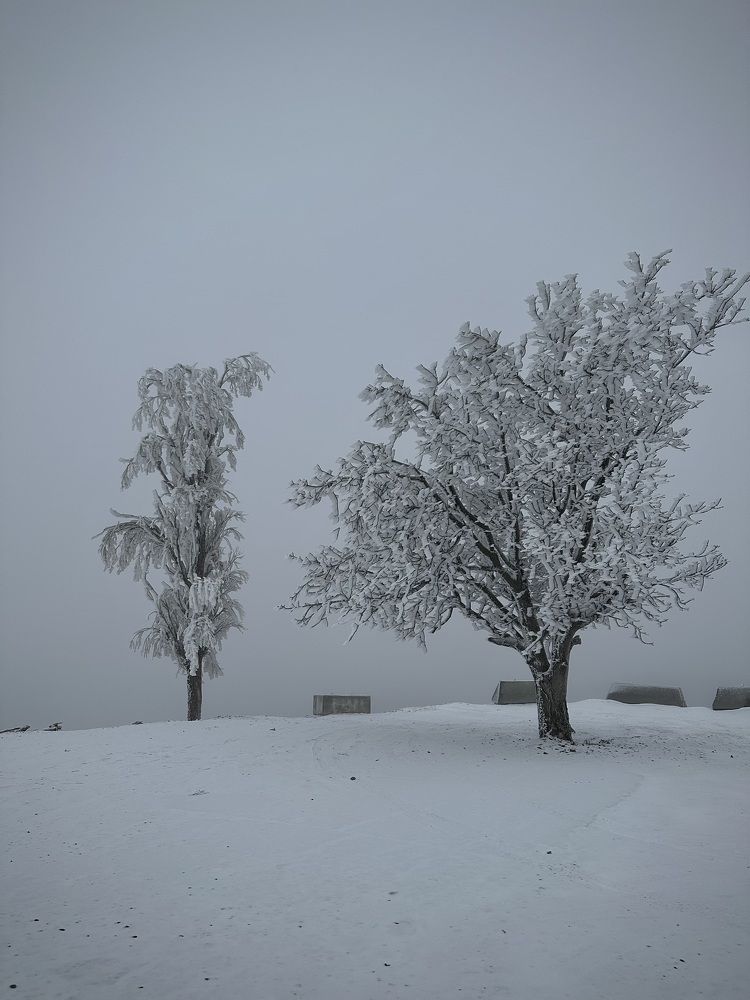 Фотография автора Юлия Косинова