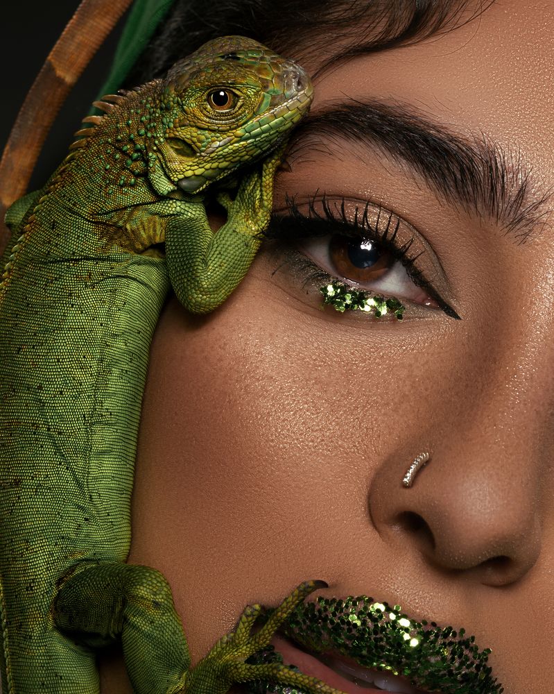 Photograph by mesbah dowlat