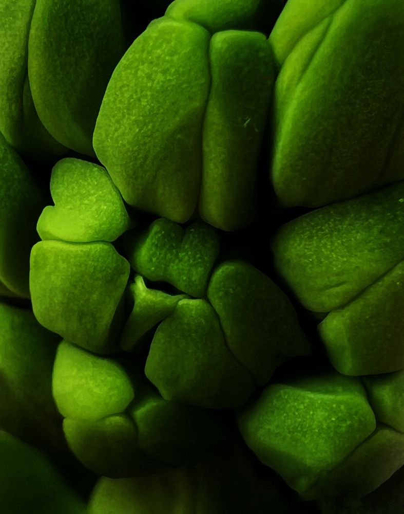 Photograph by Елена Громова