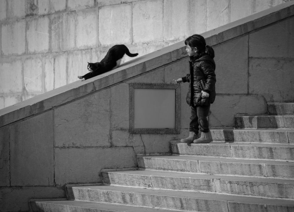 Фотография автора Arash Kaviani