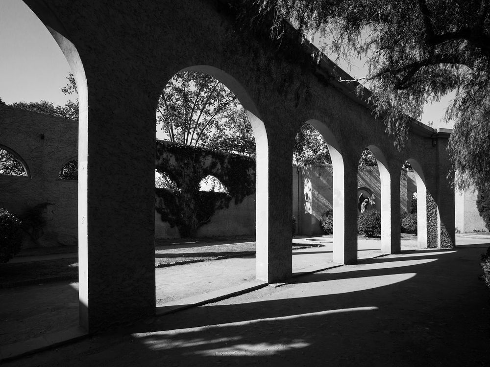 Photograph by Владислав Михайлов