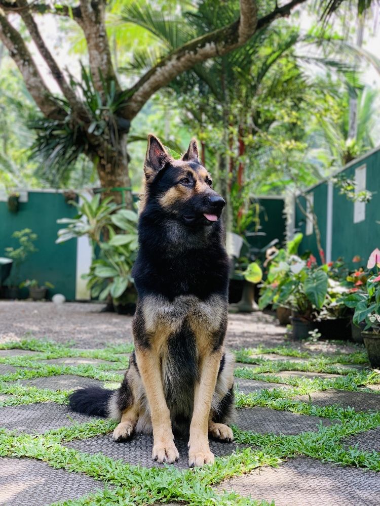 Photograph by Chenila Chandiv