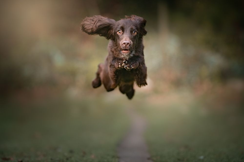 Photograph by Noa Táboas