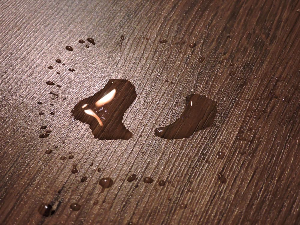 Photograph by Tatiana