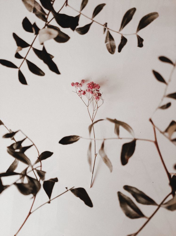 Photograph by Алия Латыйпова