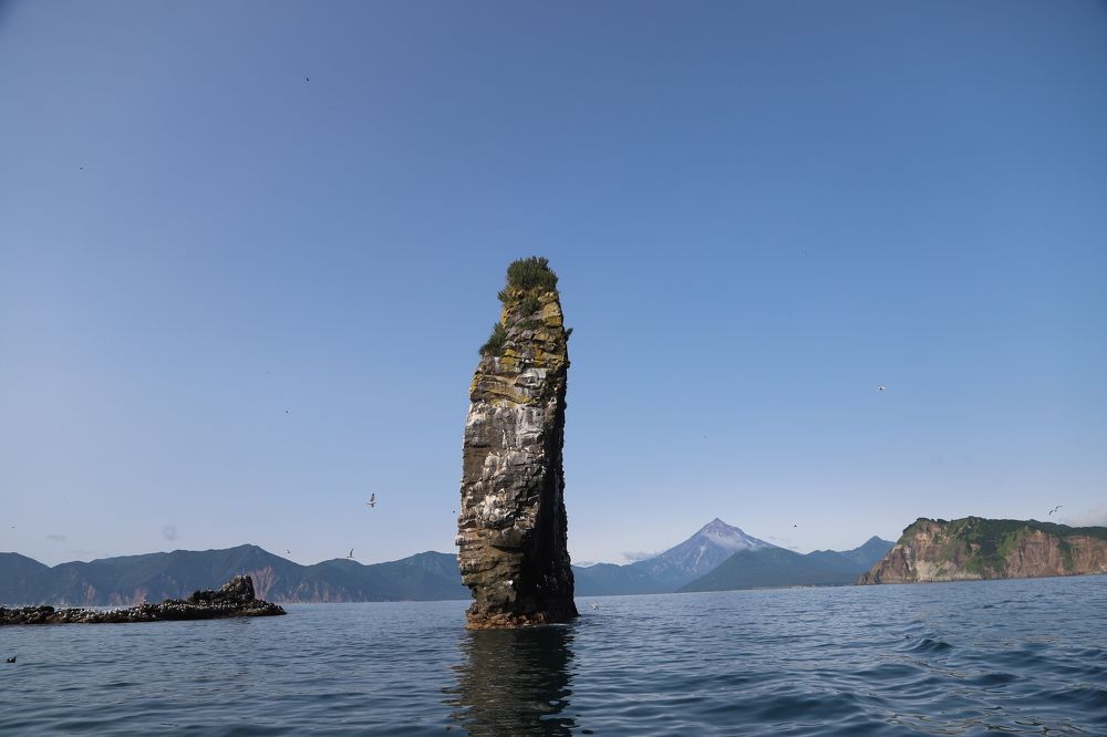 Photograph by Соколова Елена