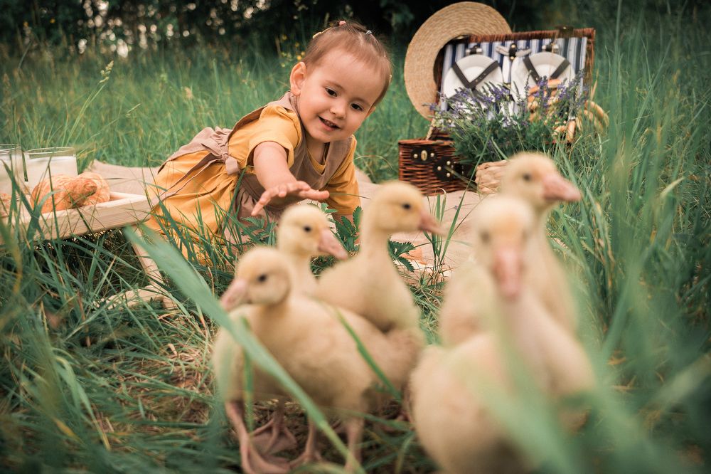 Photograph by Руденко Лариса Александровна