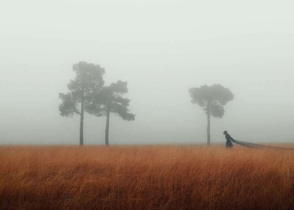 black widow/черная вдова