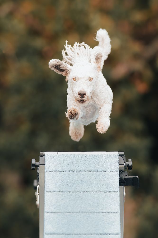 Photograph by Noa Táboas