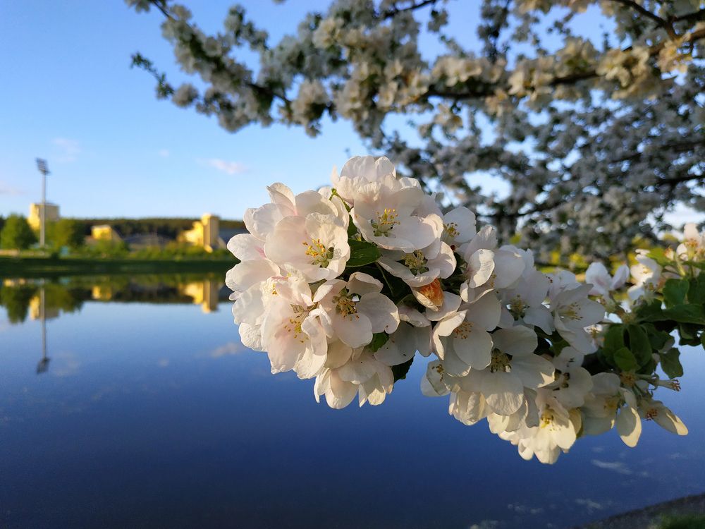 Восток / Vostok