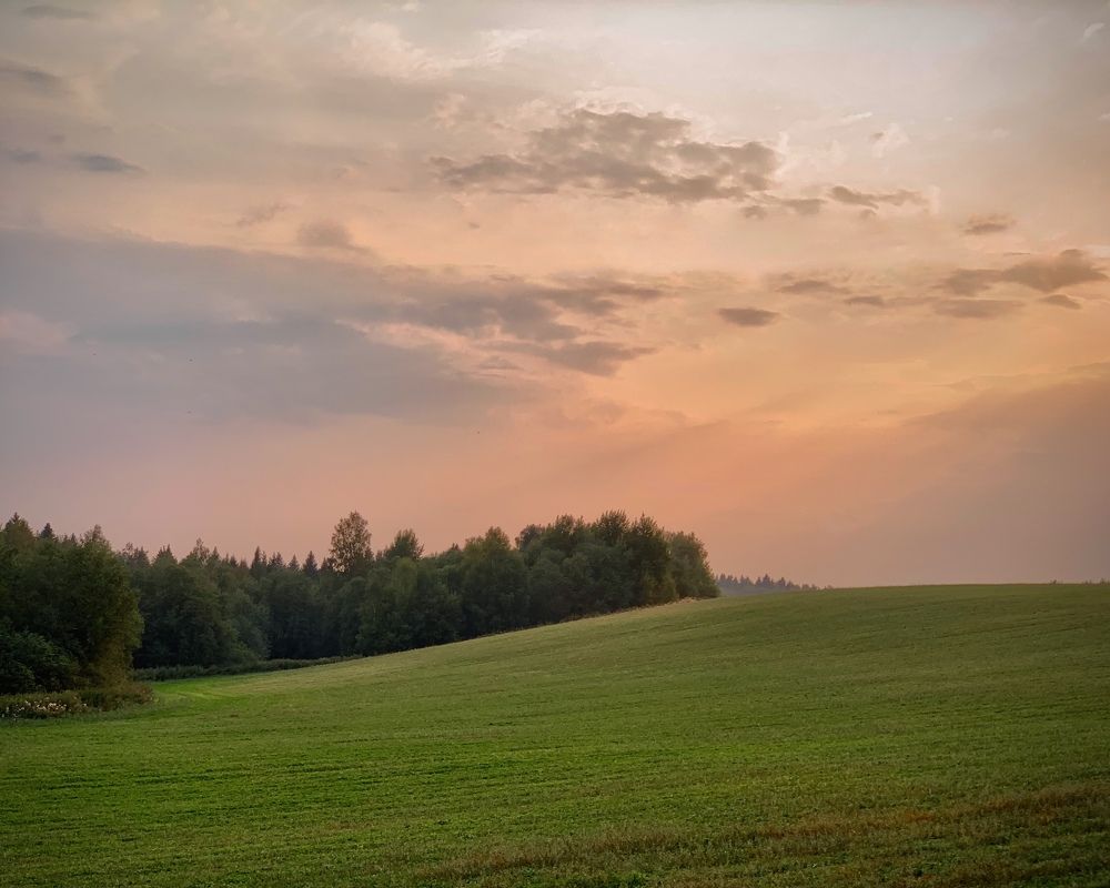 Photograph by v Stark