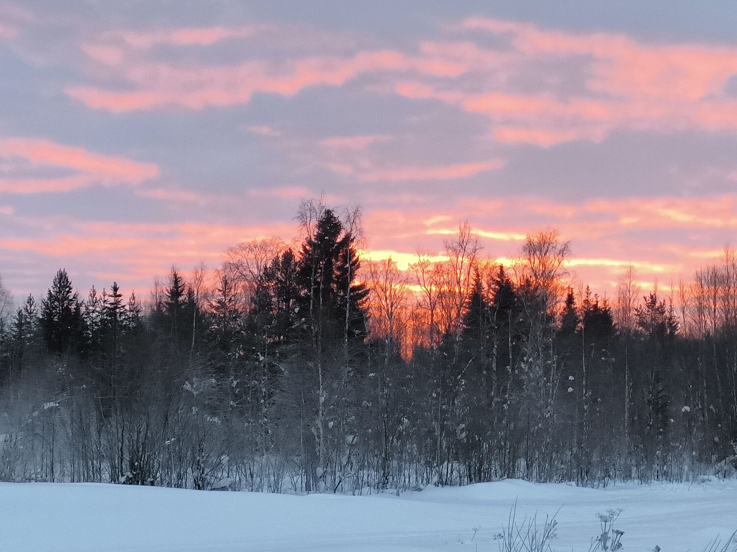 Photo #10338212