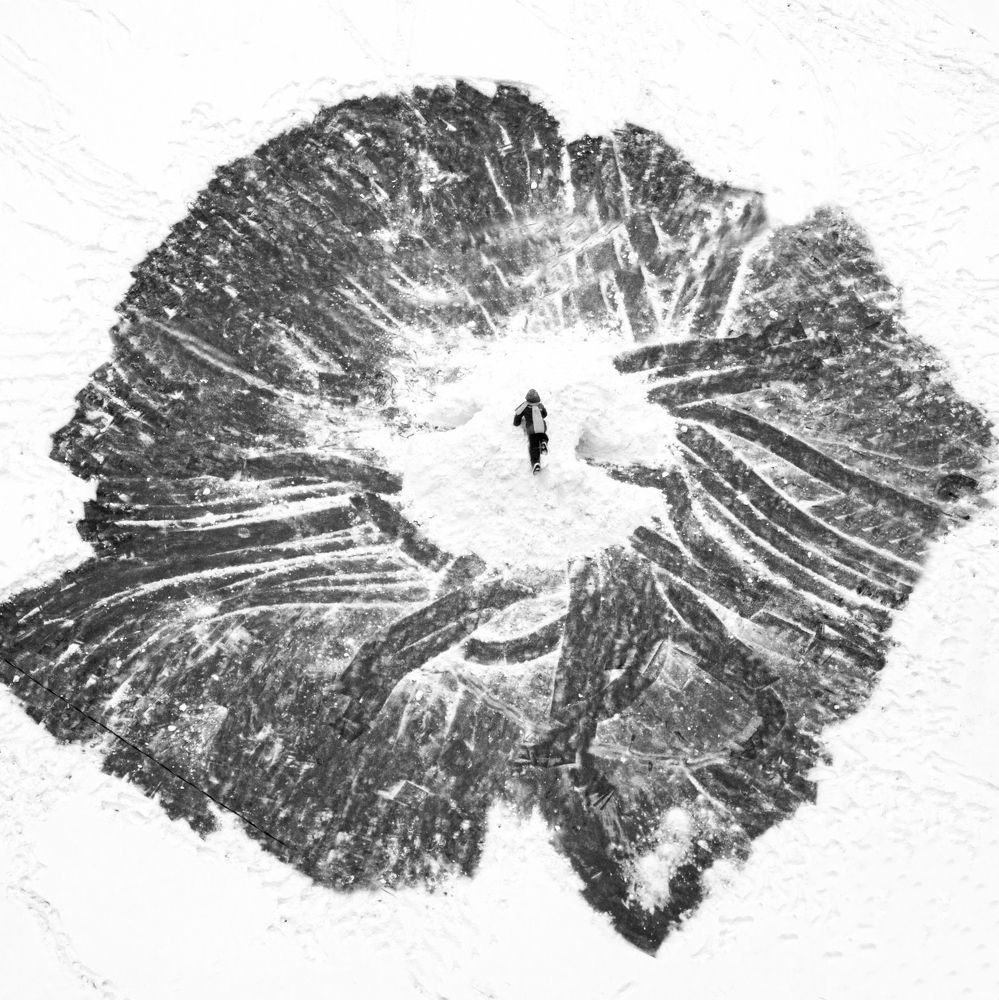 Photograph by Алексей Федотов