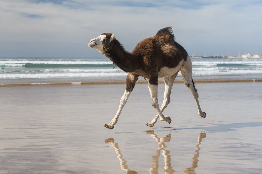 Photograph by Антон Ростовский