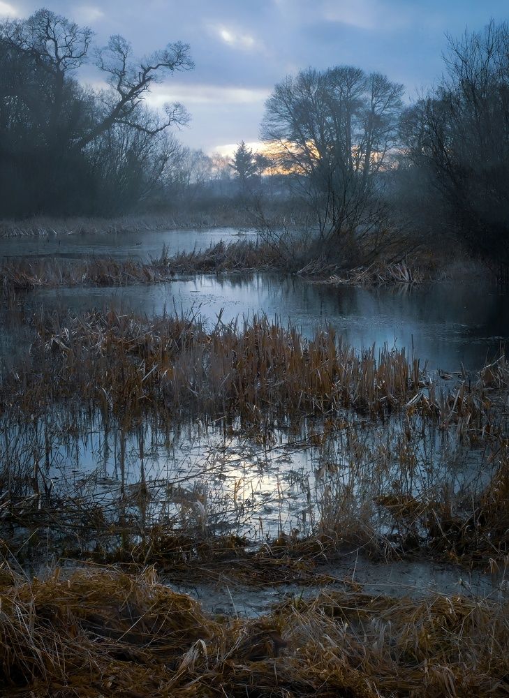 Фотография автора Michael Gault