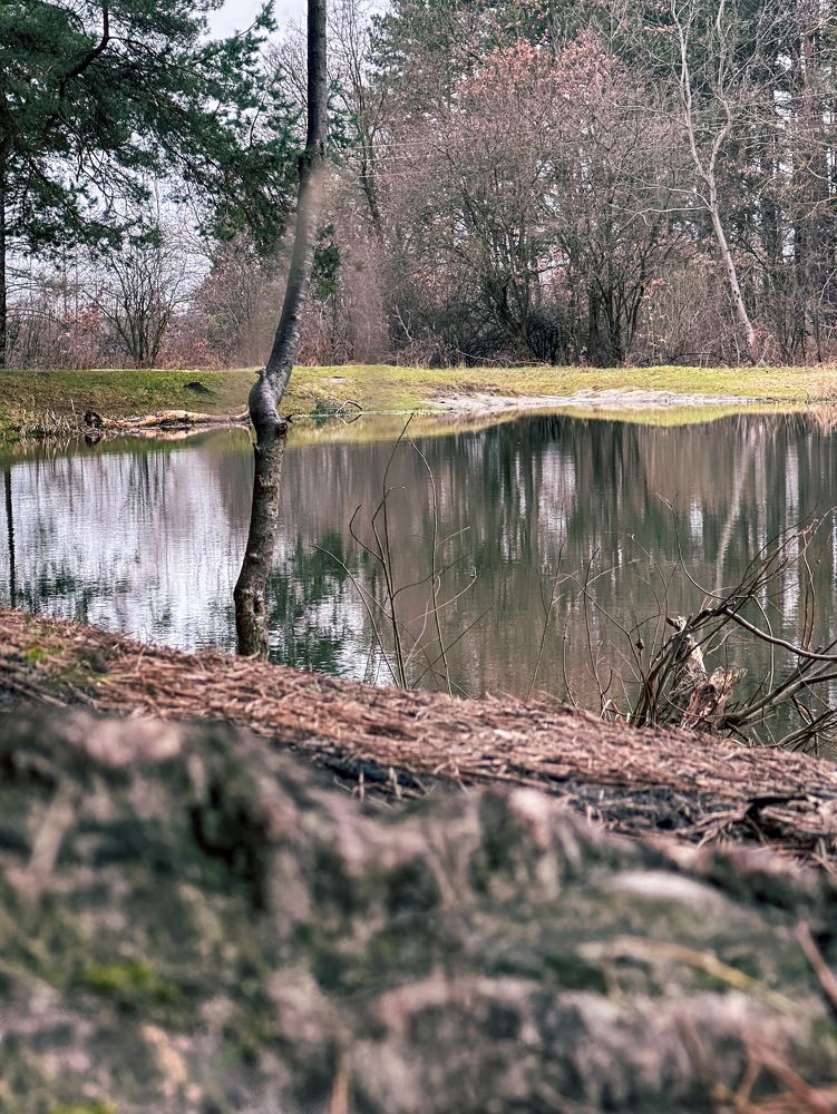 Photograph by Руслана