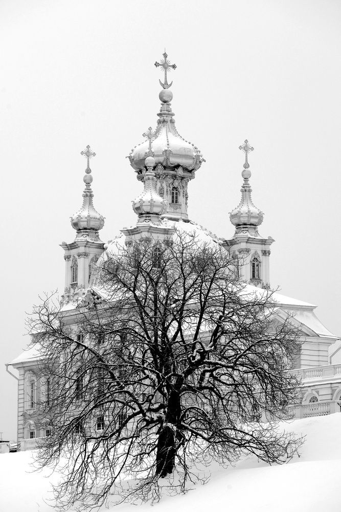 Photograph by Mikhail Novikov