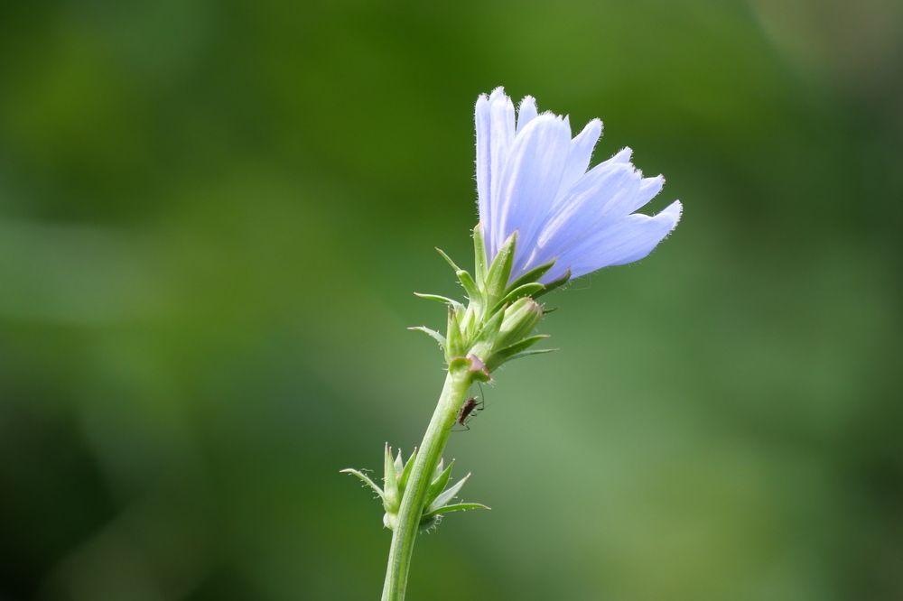 Photograph by Иван Скорик