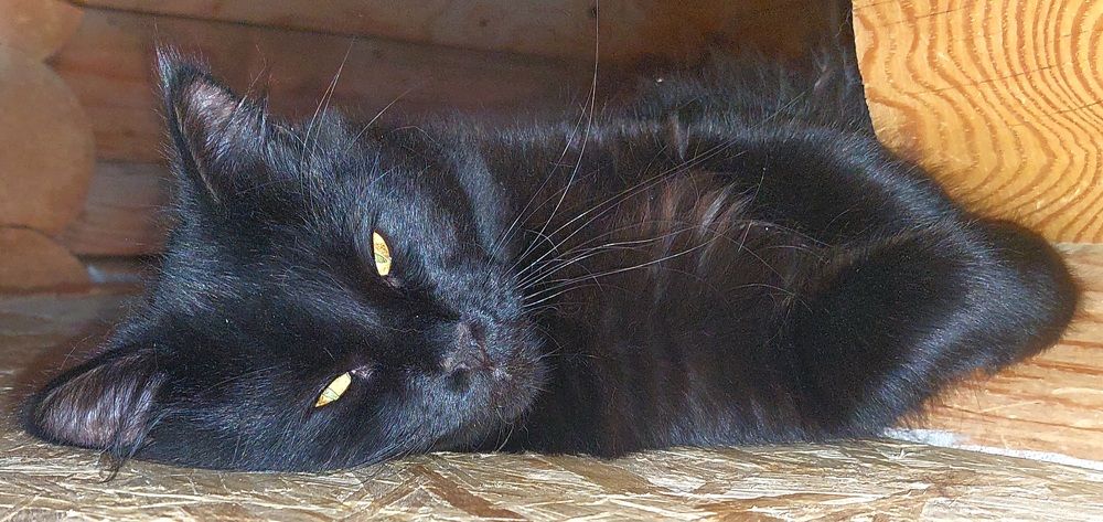 Фотография автора Можаев Сергей