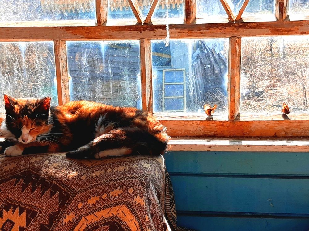 Photograph by Екатерина