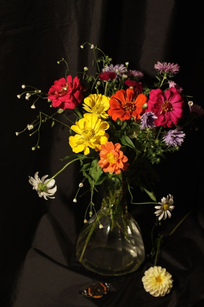 Photograph by Лада Кляузина