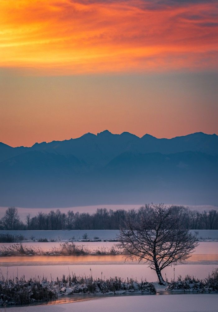 Photograph by Ovidiu Domşa