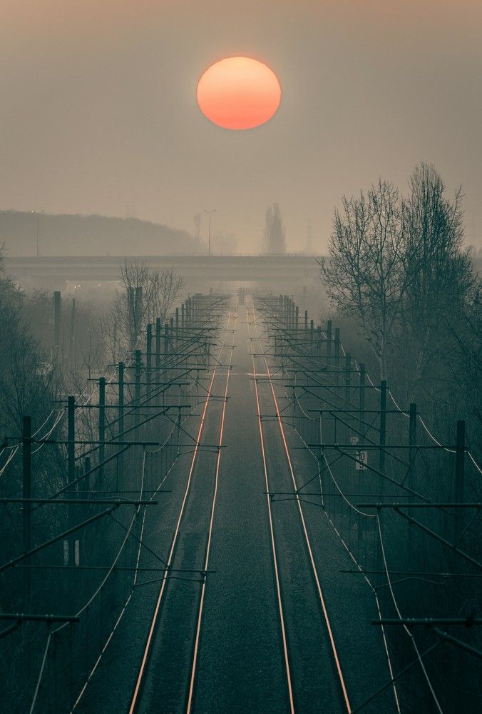 Photograph by Ovidiu Domşa