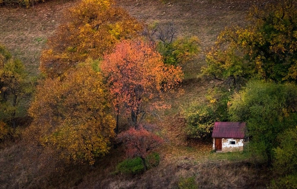Photograph by Ovidiu Domşa