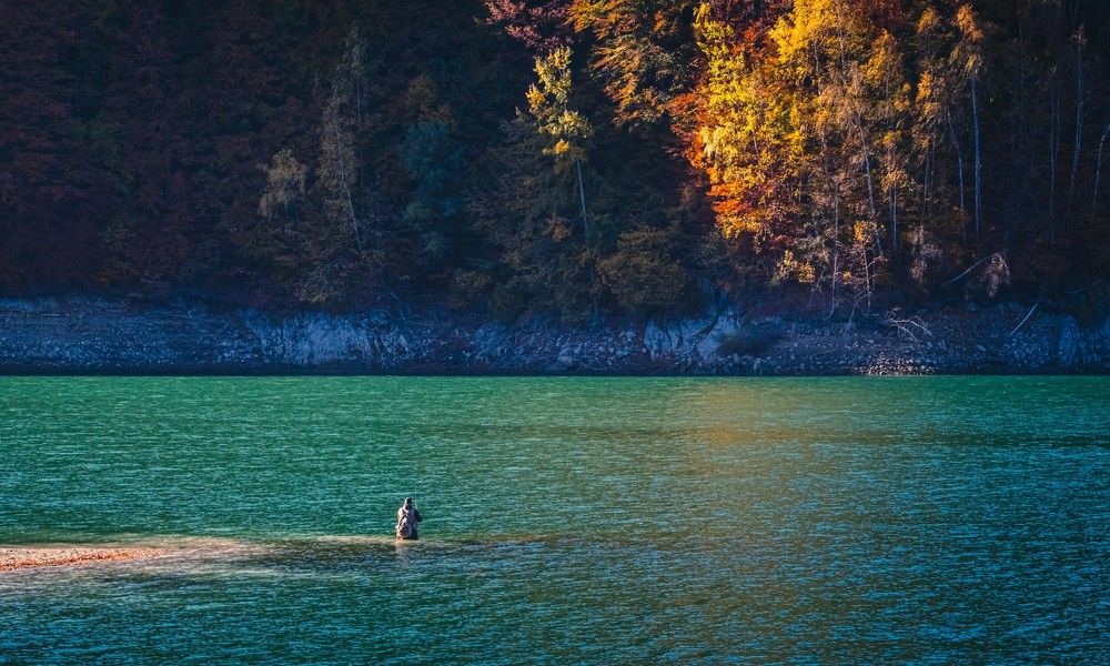 Photograph by Ovidiu Domşa