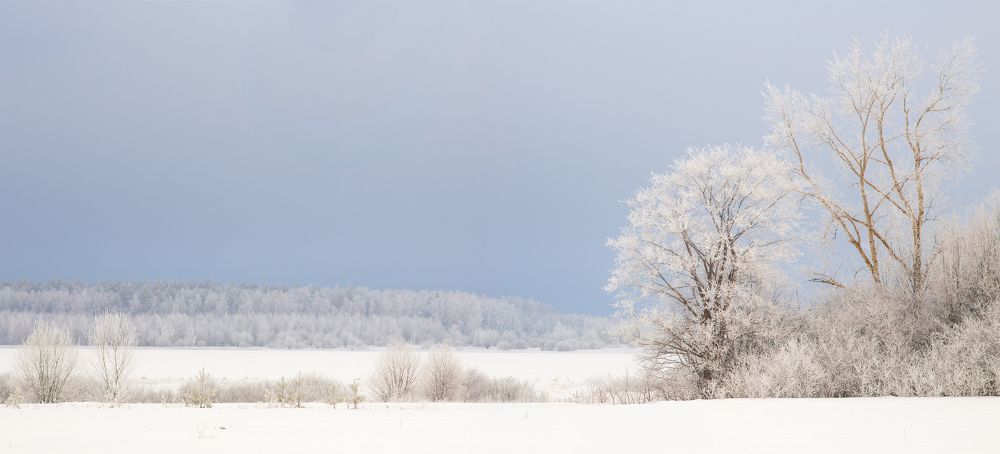 Photograph by Дмитрий Алексеев