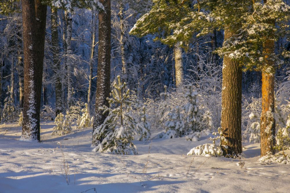 Photograph by Дмитрий Алексеев